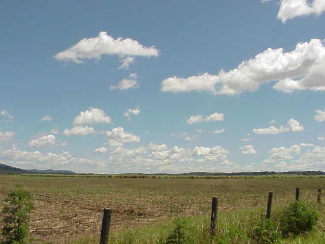 MVC-178S.JPG (25858 bytes)