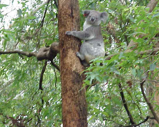 Mvc-141s.jpg (60887 bytes)