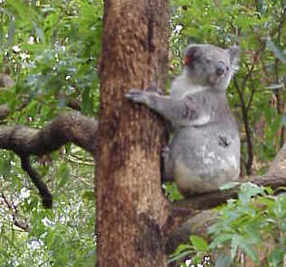 Mvc-143s.jpg (68227 bytes)