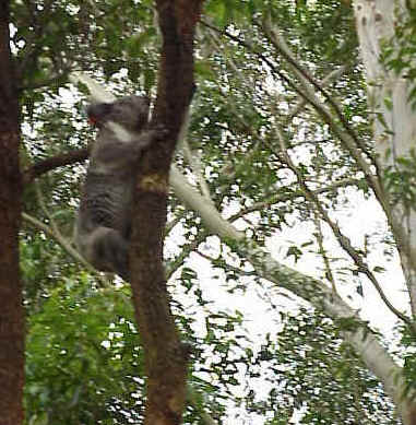 Mvc-145s.jpg (69927 bytes)