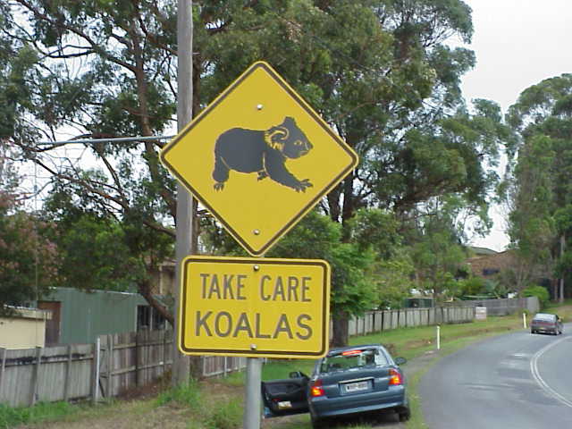 Mvc-156s.jpg (52018 bytes)