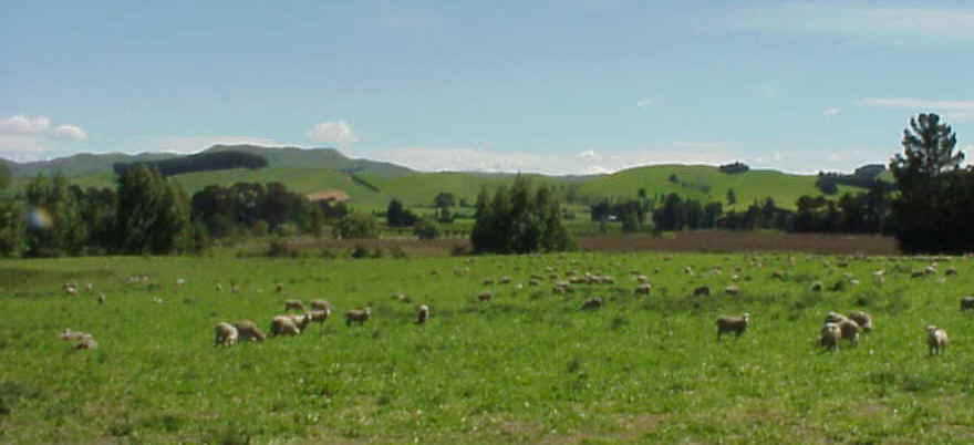 MVC-003L.JPG (54838 bytes)