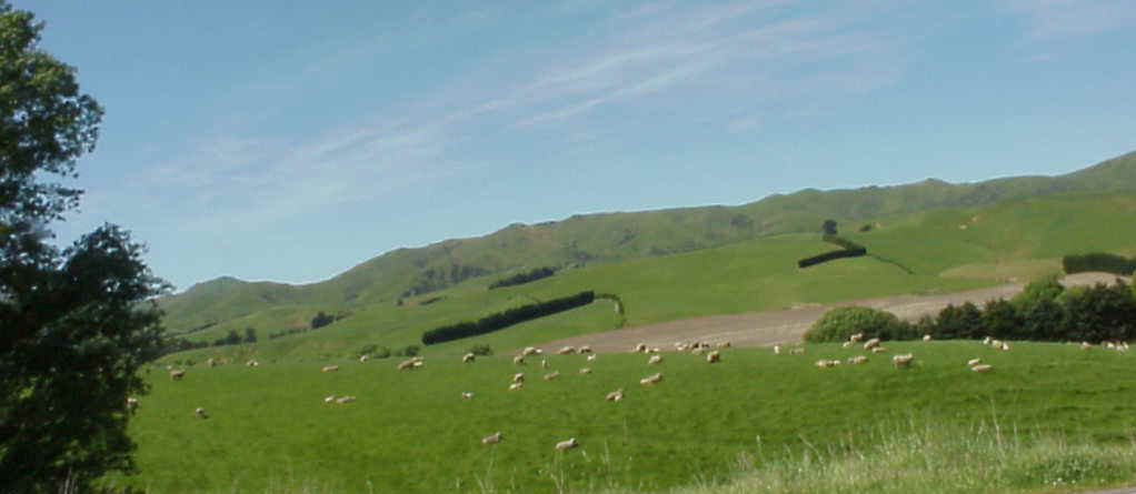 MVC-005L.JPG (42894 bytes)