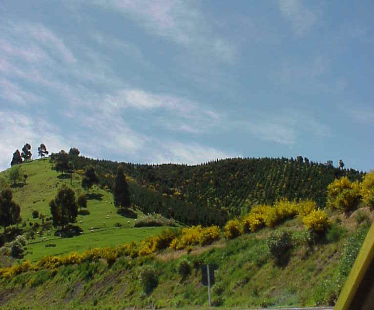 MVC-008L.JPG (56711 bytes)