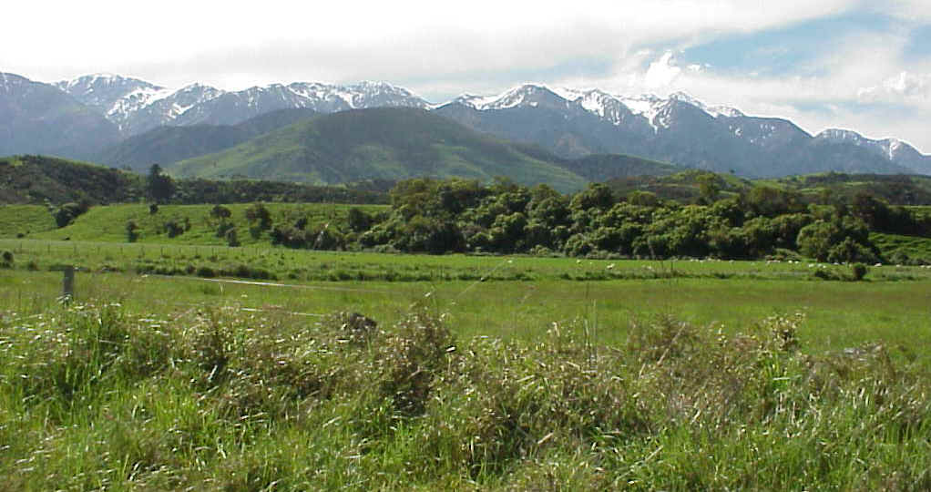 MVC-015L.JPG (87481 bytes)