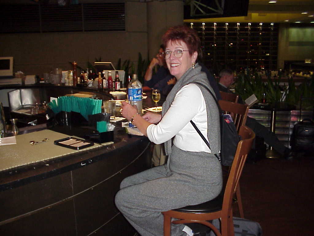 Mvc-001l.jpg (66396 bytes)