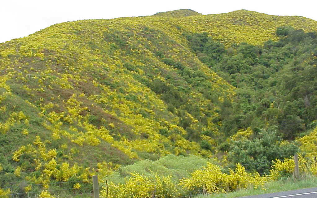 Mvc-004l.jpg (115616 bytes)